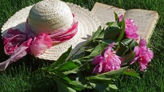 Flowers grass pink hats