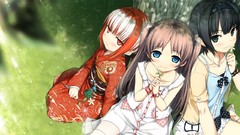 Flowers grass red eyes kimono blue eyes green eyes brunettes 