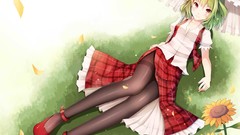 Flowers grass Sunflowers Shoes red eyes sitting red dress 