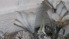 Flowers grayscale flower