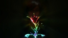 Flowers hands digital art Simple Background colorful artwork