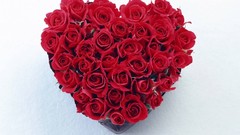 Flowers Hearts roses