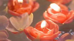 Flowers home Candles still life