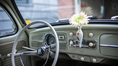 Flowers interior old beetle cars Volkswagen