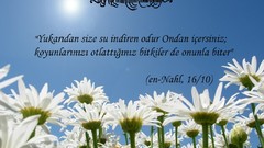 Flowers Islam