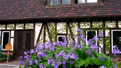 Flowers Japan architecture