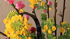 Flowers Japan baskets cherry blossoms yellow flowers