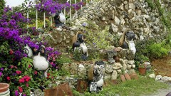 Flowers Japan Garden ornaments