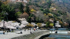 Flowers Japan spring Boats lakes cherry blossoms flowered trees