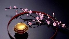 Flowers Japan spring cherry blossoms