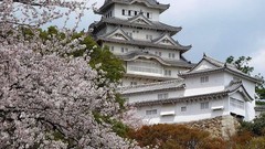 Flowers Japan spring cherry blossoms asian architecture