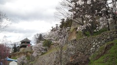 Flowers Japan spring sakura Castles cherry blossoms