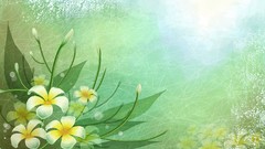 Flowers leaves abstract plumeria