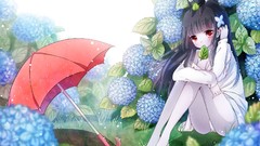 Flowers leaves Animals dew cats Plants Anime Umbrellas red eyes 