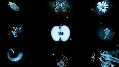 Flowers leaves Butterflies apples Fringe Frogs TV series