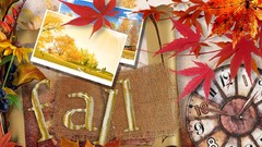 Flowers leaves grapes colors cones burlap Thanksgiving