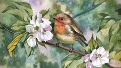 Flowers leaves nature Birds watercolor paintings artwork robins
