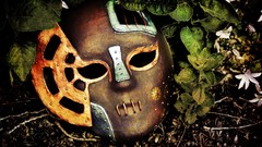 Flowers leaves steampunk masks