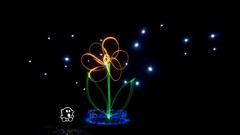 Flowers light Photo manipulation digital art light painting