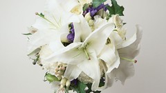 Flowers Lilies white flowers