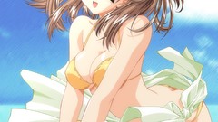 Flowers long hair anime girls brown eyes brunettes bikini hair 