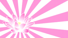 Flowers lotus abstract