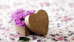 Flowers love purple Hearts