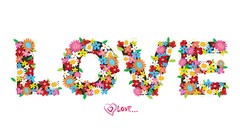 Flowers love Typography white background