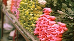 Flowers market roses