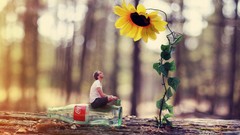 Flowers Men bottles coca-cola perspective Photo manipulation 