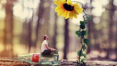 Flowers Men coca-cola