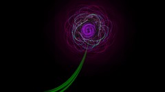 Flowers Michael Plaster