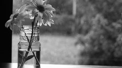 Flowers monochrome grayscale