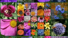 Flowers mosaic