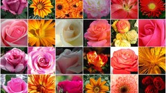 Flowers mosaic