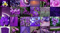 Flowers mosaic