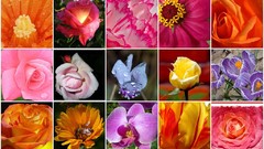 Flowers mosaic