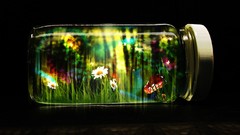 Flowers mushrooms jars digital art fantasy art magical