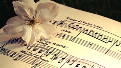 Flowers Music