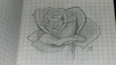 Flowers My Drawings