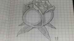 Flowers My Drawings