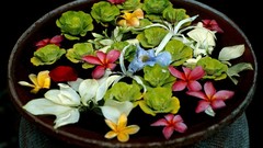 Flowers national geographic