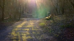 Flowers nature Animals Photographers