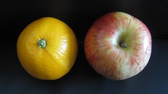 Flowers nature apples food fruits multicolor