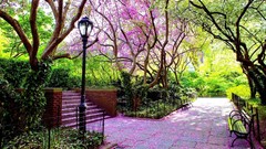 Flowers nature chairs