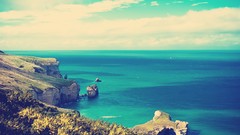 Flowers nature clouds ocean cliffs
