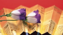 Flowers nature crocus