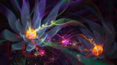 Flowers nature flower petals