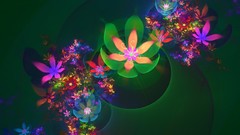 Flowers nature flower petals