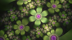 Flowers nature flower petals